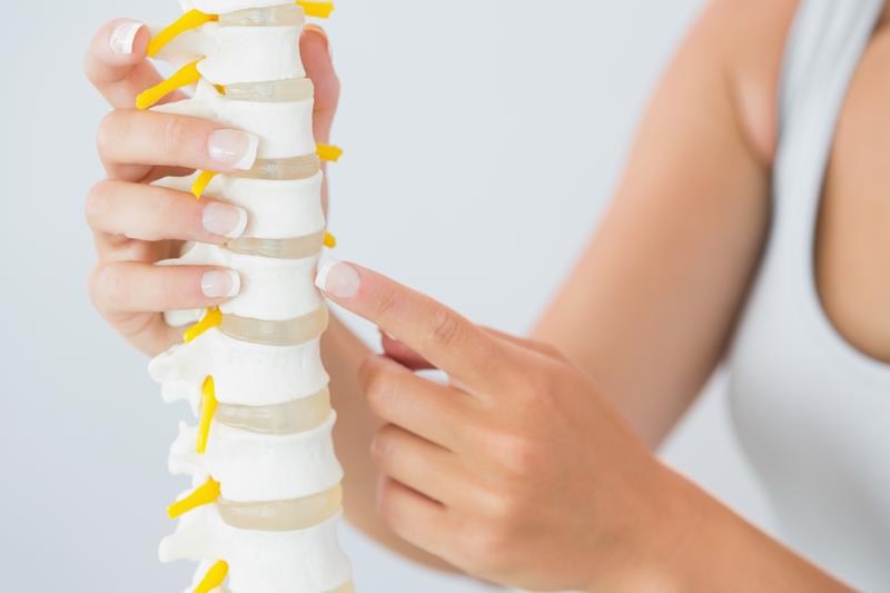 about our chiropractic office  North Charleston , SC, 